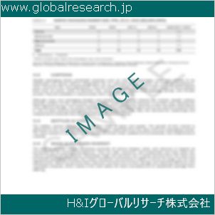 グローバルリサーチ調査資料のイメージ